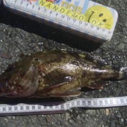 釣りデビュー　143日目