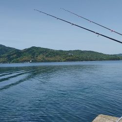 引き釣りはダメでした