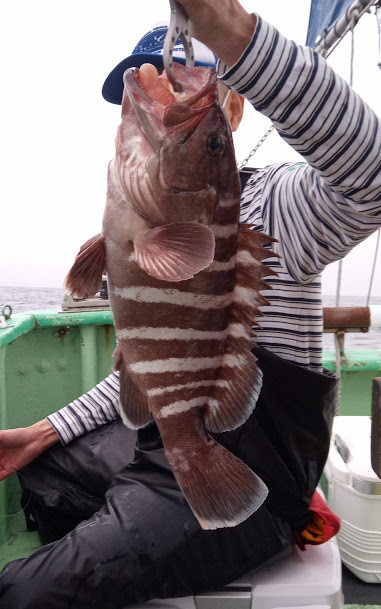 康仁丸・ジギング釣り果