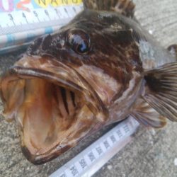 釣りデビュー 154日目