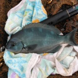 フカセ‥最高ですネ・・