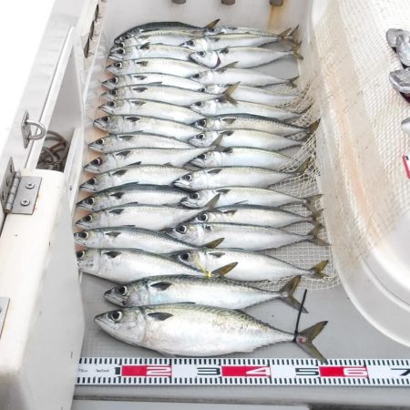 SOUTH チャーター便4名様釣果