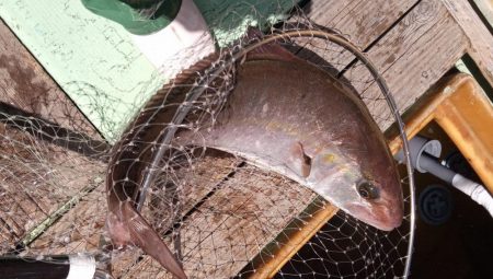 康仁丸・釣り果