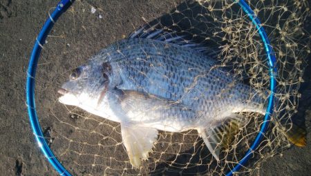 釣りデビュー 162日目