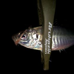 二匹目のドジョウ