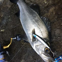 A.P.Pフィッシングガイドサービス　ヒラスズキ狙いのロックショアゲームのポイントチェックにRIDEON！