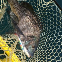 A.P.P フィッシングガイドサービス　新上五島町　カヤックフィッシングポイントを探してRIDEON！