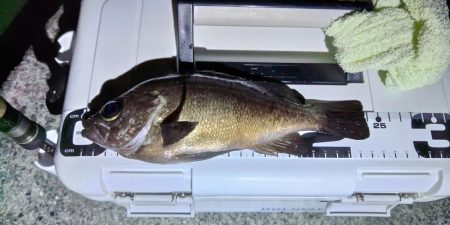 フロートゲーム