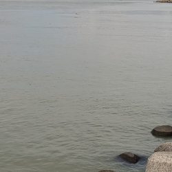 キス釣り☆大雨すぎの後は…