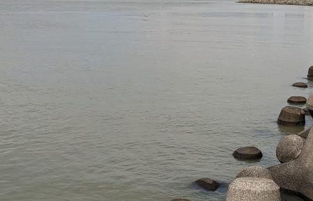 キス釣り☆大雨すぎの後は…