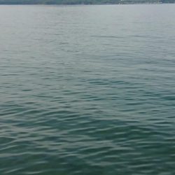 今年、ファーストキス！