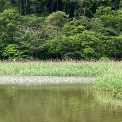梅雨の中休みに
