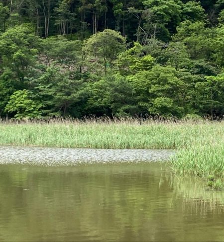 梅雨の中休みに