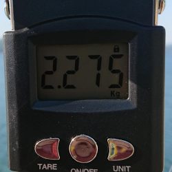 初キロupが、何と2キロOver！