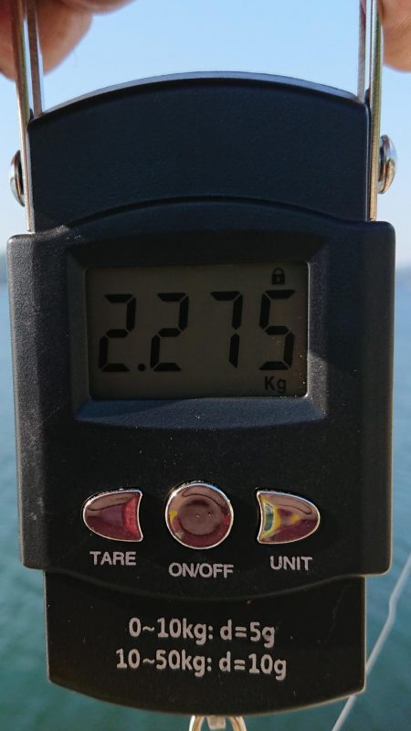 初キロupが、何と2キロOver！