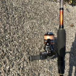 ダイソールアーでカンパチ＆カマスGET