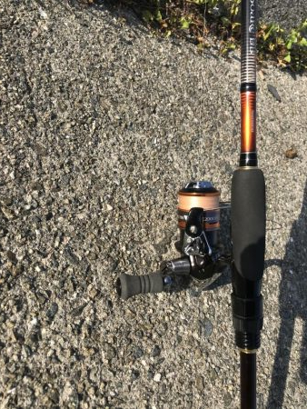 ダイソールアーでカンパチ＆カマスGET