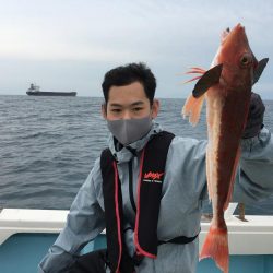 激レア シロアマダイ またまたゲット!