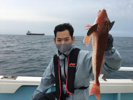 激レア シロアマダイ またまたゲット!