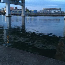 @バチシーバスとまさかの年無しチヌ