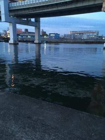 @バチシーバスとまさかの年無しチヌ