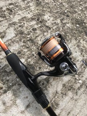 フラットフィッシュのディゲーム