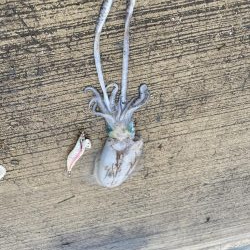 雨やのに、、、