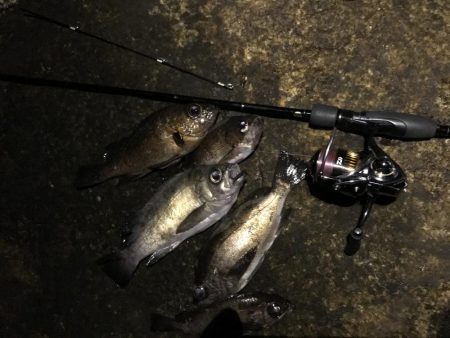 今年最終メバリング