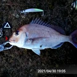 多忙からの、お祭り！