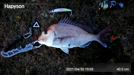 多忙からの、お祭り！