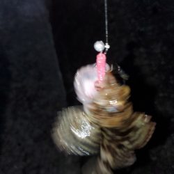 ピンクがお好き？