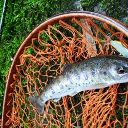 今日も大荒れ( ノД`)…