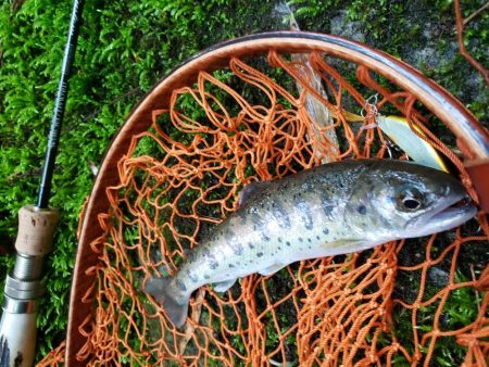 今日も大荒れ( ノД`)…