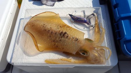 今季初2kgオーバー