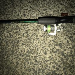 ブリ 98cm ゲット❗️