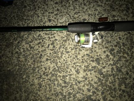 ブリ 98cm ゲット❗️