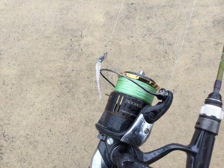 情報をもとにアジング調査