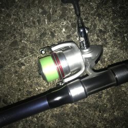 投げサビキで良型アジGET