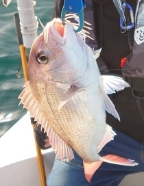 久しぶりのオフショア釣行!