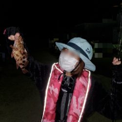 メバリング、ガシリング