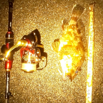 強濁りには音と光