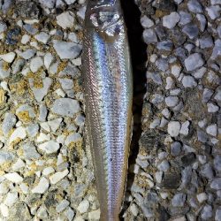 何して食べようかな〜？