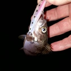 雨が降ろうがそれがなんだぁー