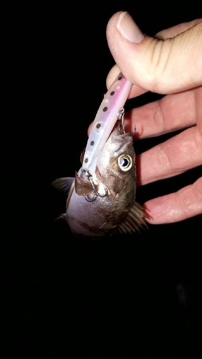 雨が降ろうがそれがなんだぁー