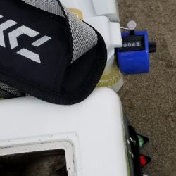 今年、初めての爆釣