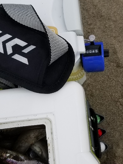 今年、初めての爆釣