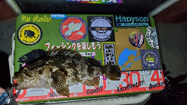 大阪湾奥ランガン日記