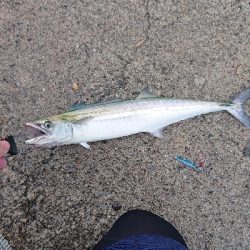 アメニモマケズ