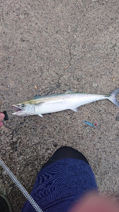 アメニモマケズ