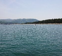 人は多いが魚はいない